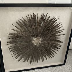 Pheasant Feather Art w/ Glass Frames - $100 Each OBO