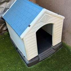 Dog House 
