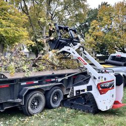 Tree Services Des Moines Iowa.