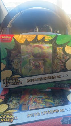 Mega meganium ex box