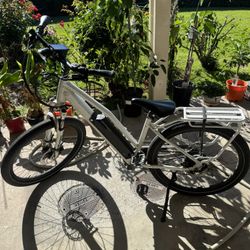 Rook Surface 604 E-Bike
