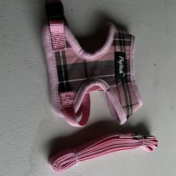 Leash And Harnest