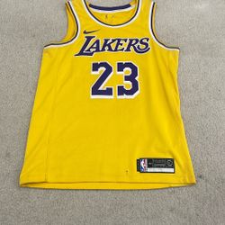 Nike LA Lakers LeBron James Jersey Home 