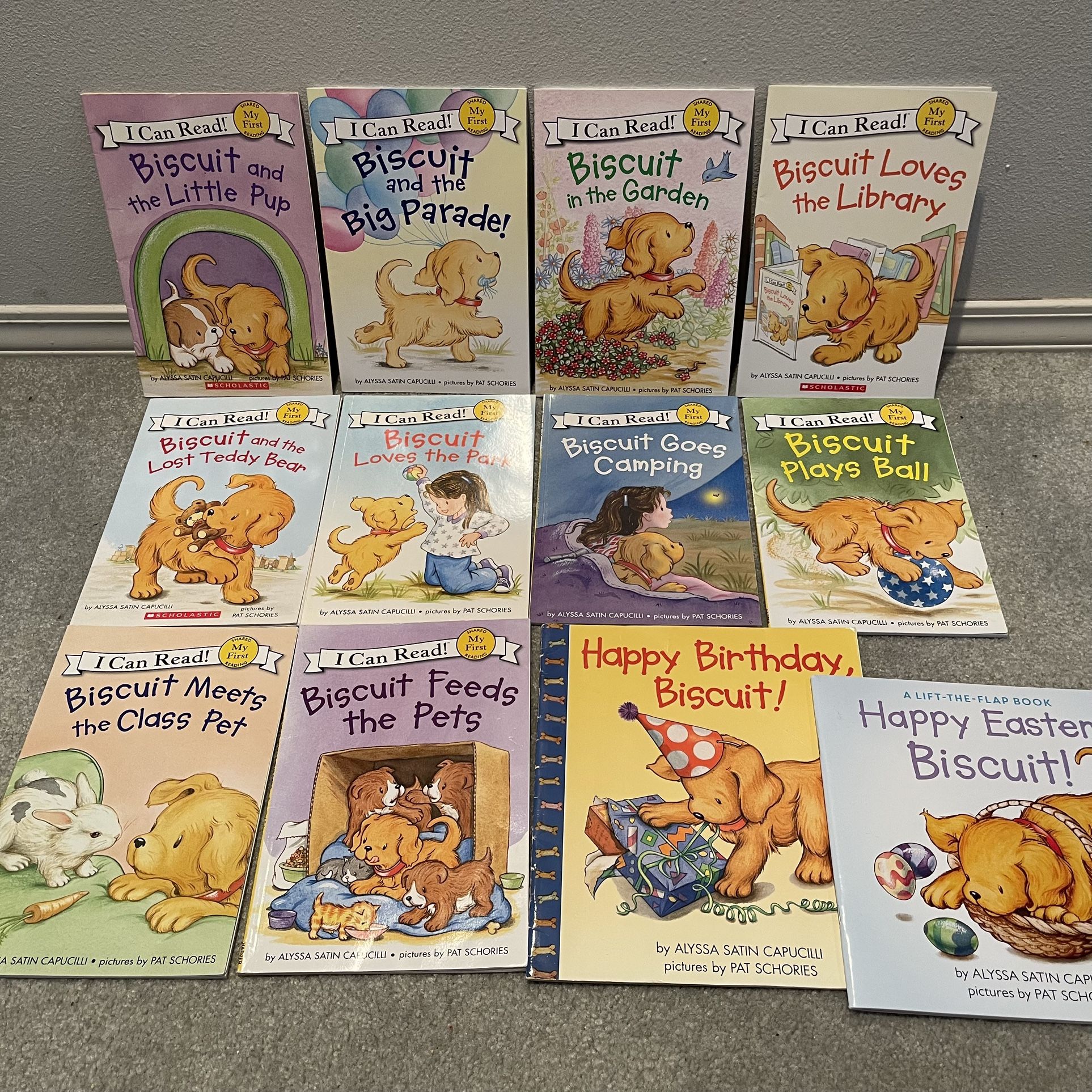 Biscuit Book Bundle