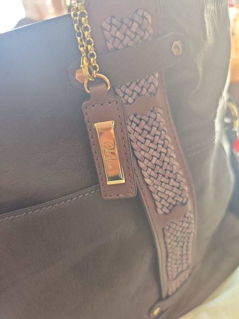 Beautiful  Purse ?  Cole HAAM 