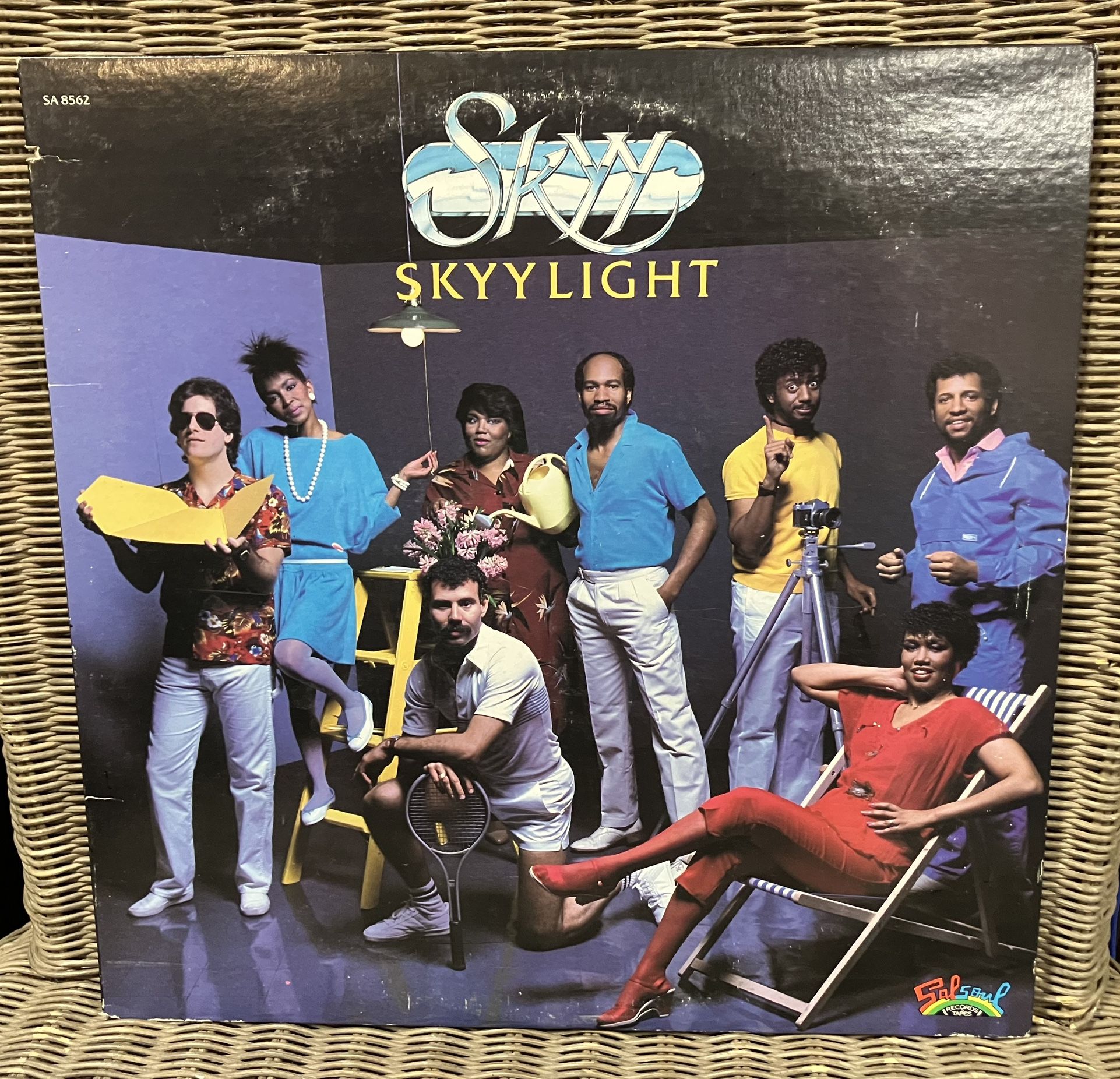 Skyy Vinyl Record