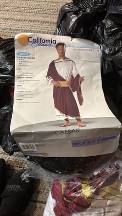 Caesar Costume
