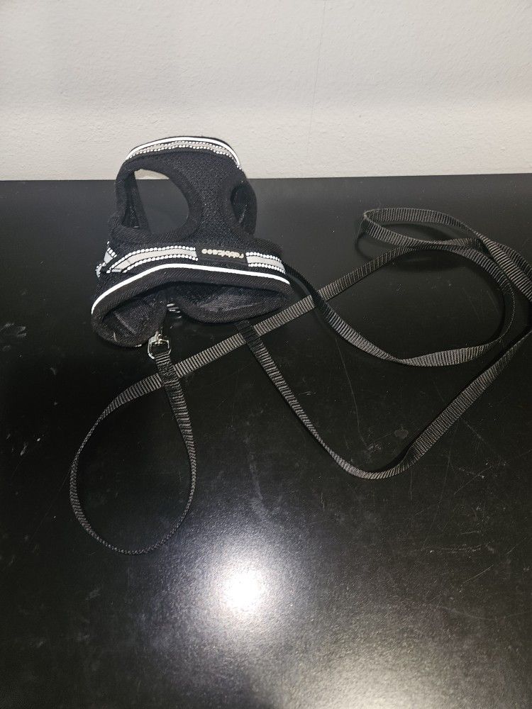 Kitten Harness With Leash