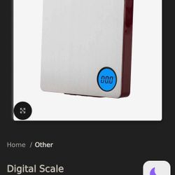 Digweigh Stainless Steel Digital Scale (Compared $60)