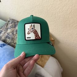 Goorin bros hat