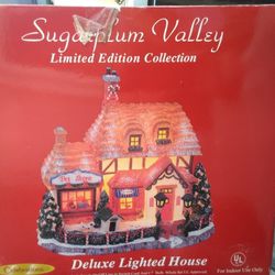 Deluxe Lighted House Celebrations