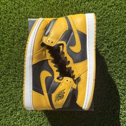 Air jordan 1 Pollen