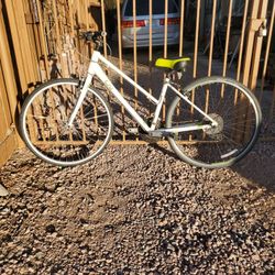 Giant Alight  21 Speed Bike 