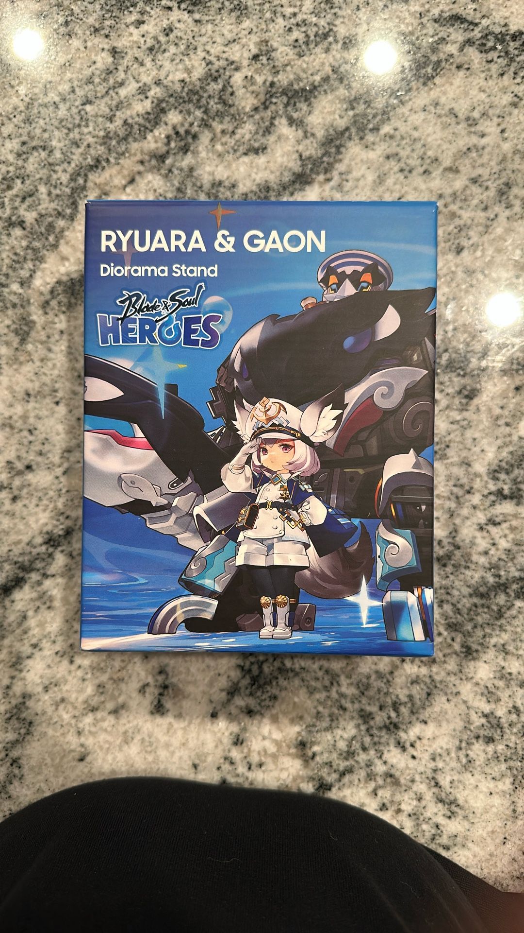 Anime Expo 2025 AX2025 Blade & Soul Heroes Ryuara & Gaon Diorama Stand