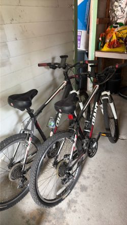 Men’s and women’s bike