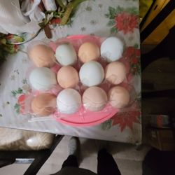 Guevos a 6 ladocena