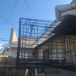 Dog Cage