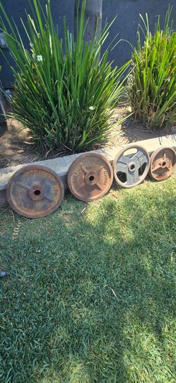 Weight bench and weights