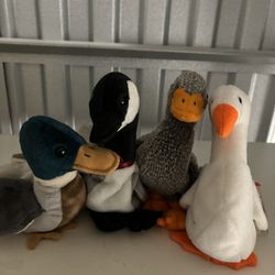 Ty Beanie Babies: Pond Bundle