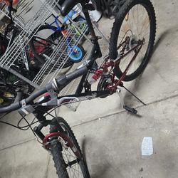 Adults Bike 