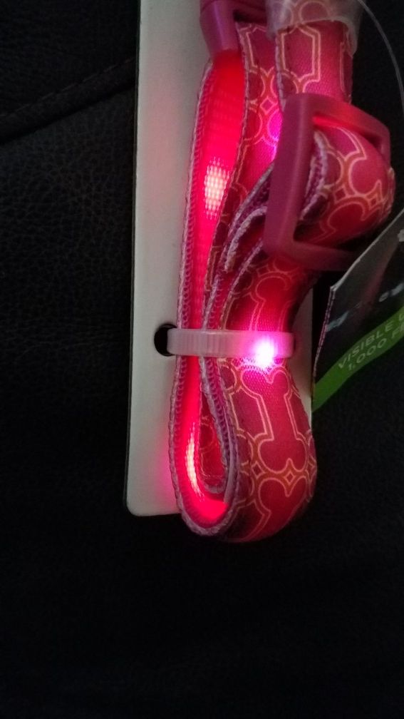 Good2Go light up dog Collar medium