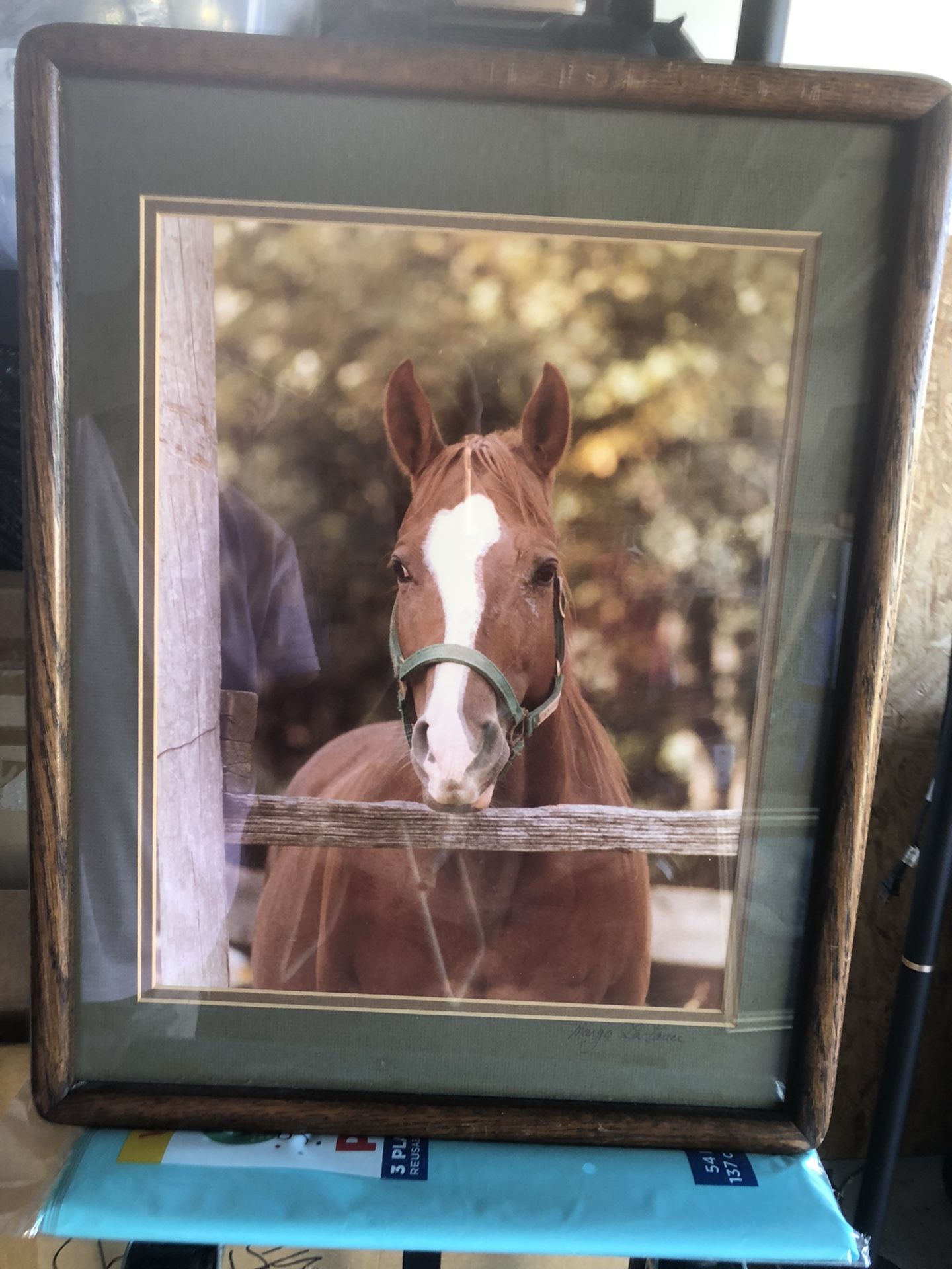 Original Framed & Matted Horse Photo