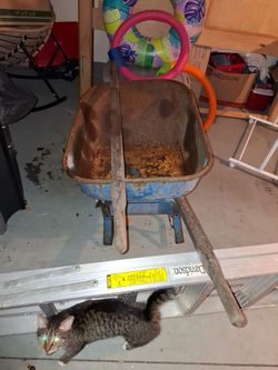 Wheelbarrow