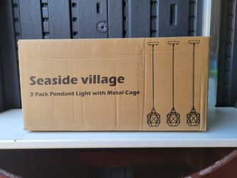 2 Pack Indoor Pendent Lights