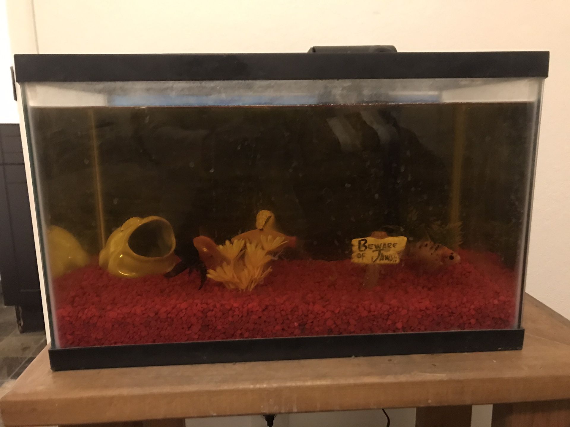 15 Gallon Fish “Aquarium” with water filter plus stand