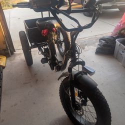 E-Trike