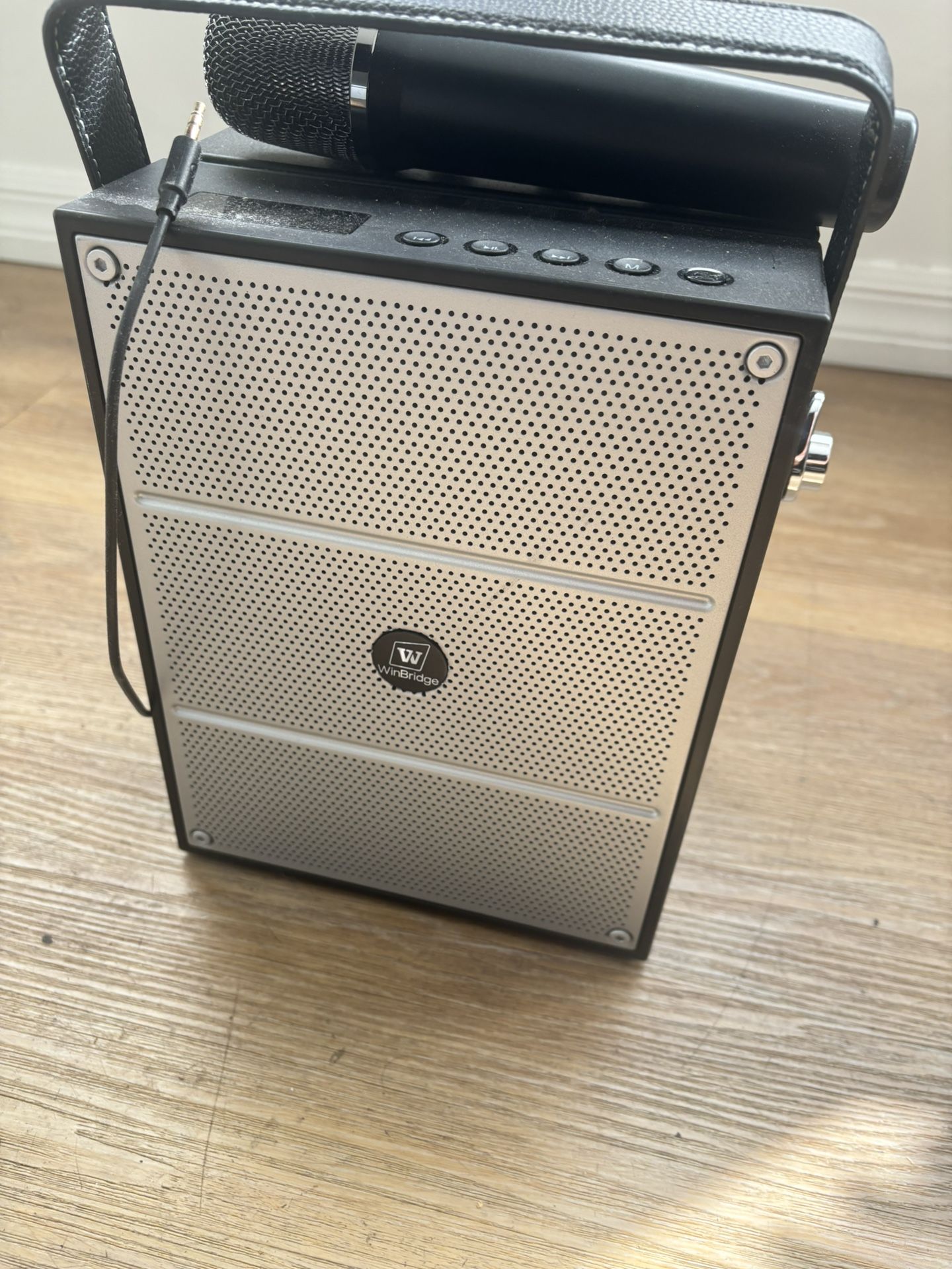 Winbridge voice Amplifier