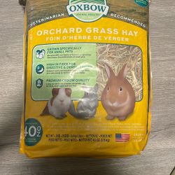 Orchard Grass Hay