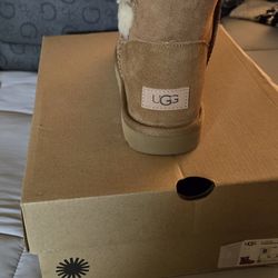 Ugg Boots Never Used 