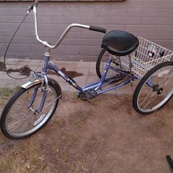3 Wheel Tricycle 