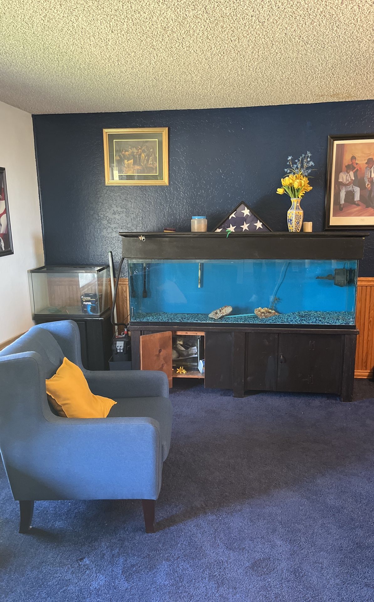 110 Gallon Aquarium With Stand and Floval 407 Filter and Pump