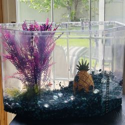 Brand New Fish Tank