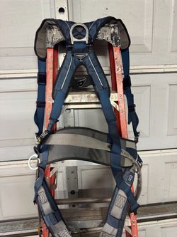 Harness