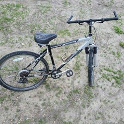 Mountain Bike Schiwinnn 