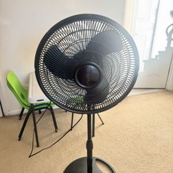 Fan