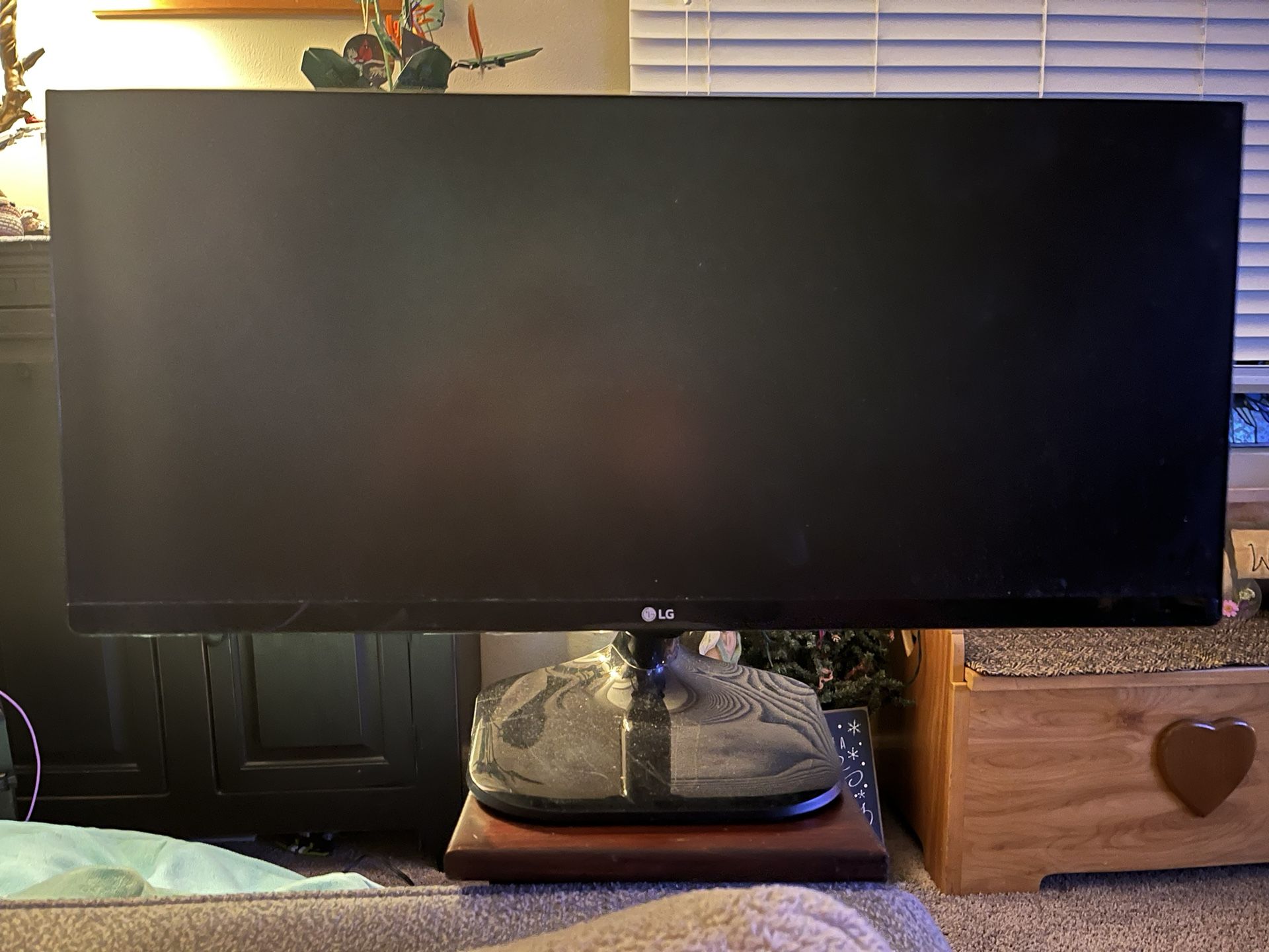 LG 29” Monitor