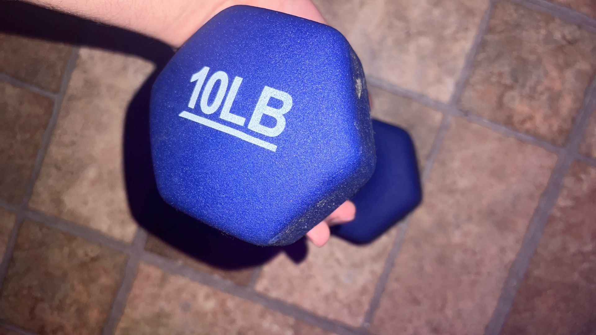 2 10lb weights 