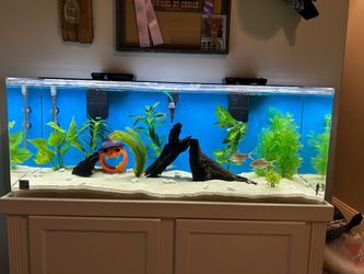 Clear For Life 60 Gallon