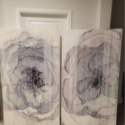 Wall Art - 40x70 canvas (set of 2)