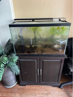 29 GALLON FISH TANK WITH STAND
