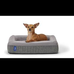 Casper Dog Bed, Plush Memory Foam, Medium, Gray, 25.0"L x 33.0 "W x 6.0"