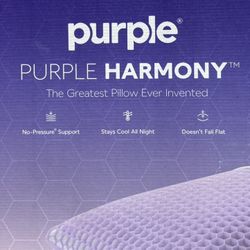 PurplePurple Harmony Standard ColorStandard Size Medium Height