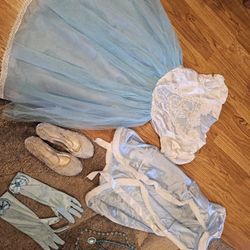 Cinderella Dress