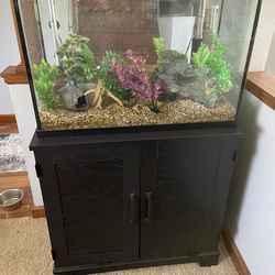 35 gallon fish tank