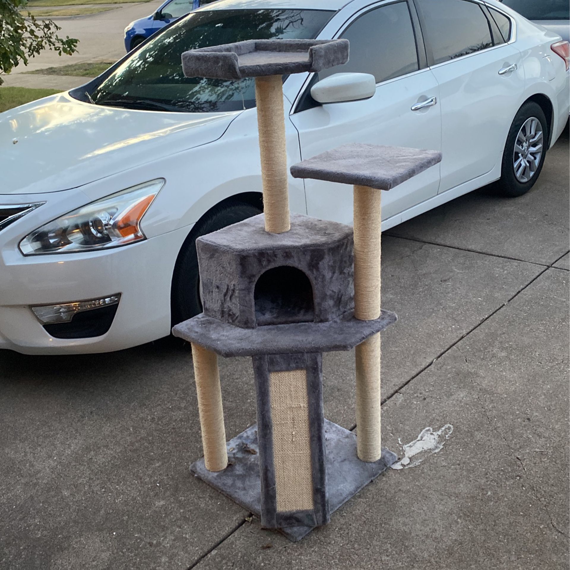 Cat Play House $50