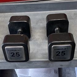 25lb Dumbbells 